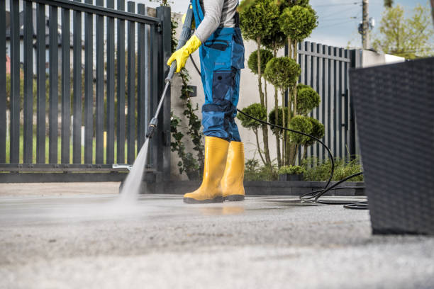 Best Dumpster Area Cleaning  in Laurel Hollow, NY